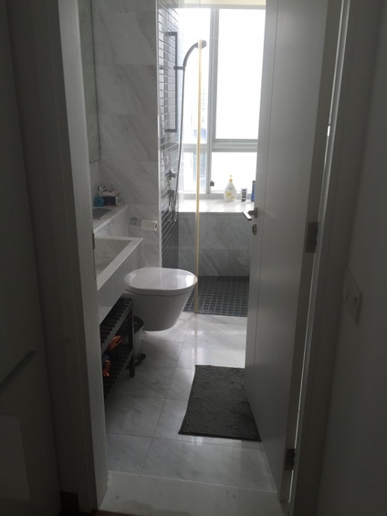 Newton One (D11), Condominium #124396352